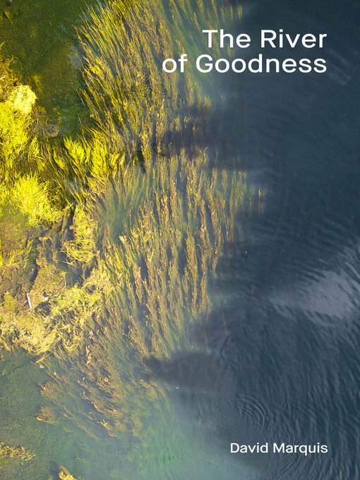 Title details for The River of Goodness by David Marquis - Available